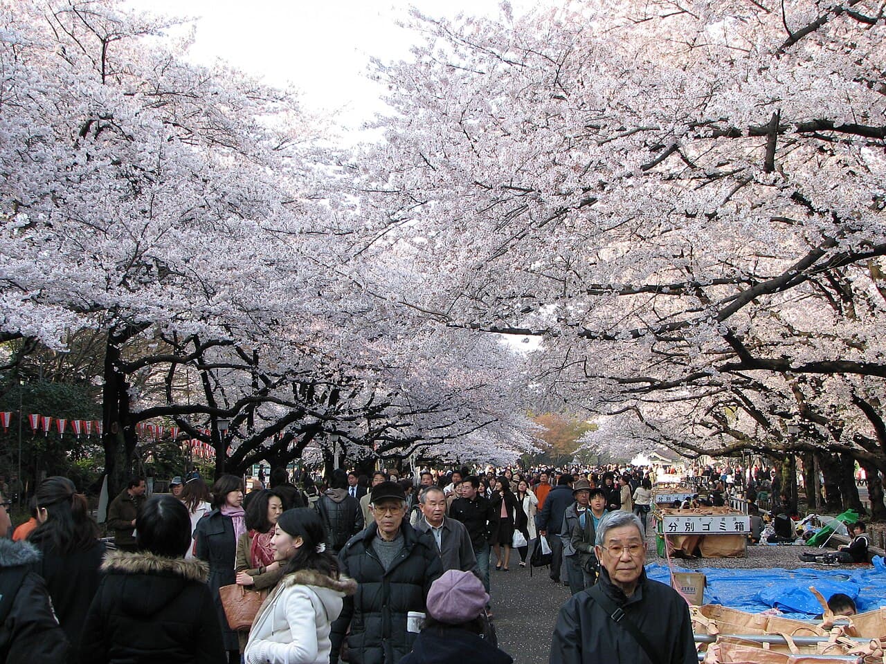 Parc d'Ueno