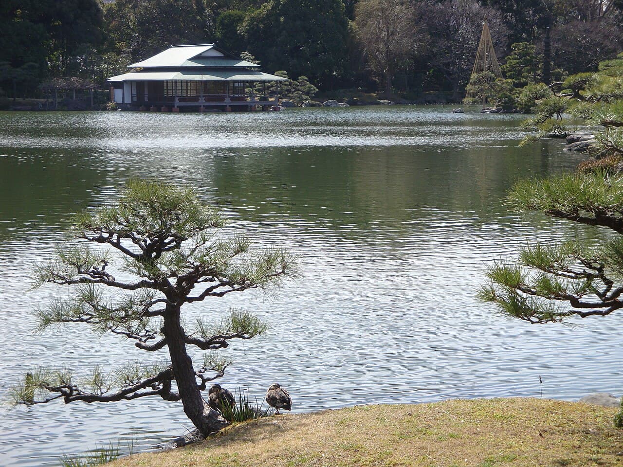 Jardin Kiyosumi